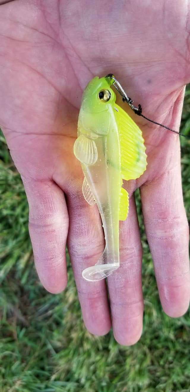 Shout Out To Megabass Dark Sleeper - Fishing Tackle - Bass Fishing Forums