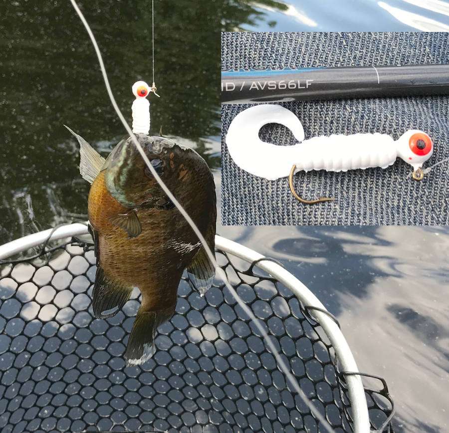 Your favorite bluegill lure? - Other Fish Species - Bass Fishing