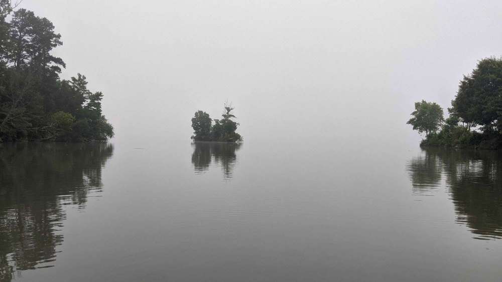 fishing-in-the-fog.jpg