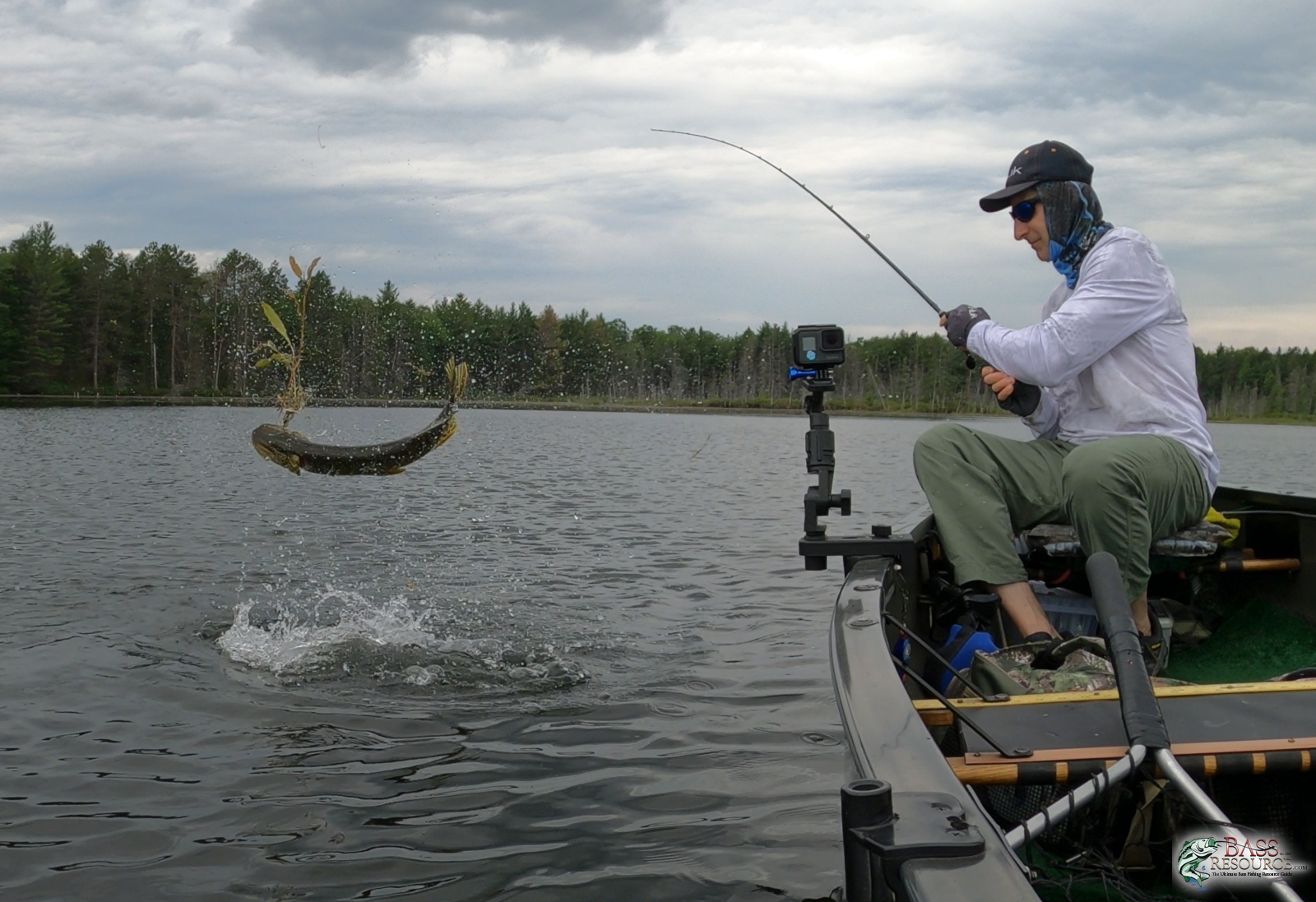 22_June_2020_~_Pike_Jumper_1_clean.png