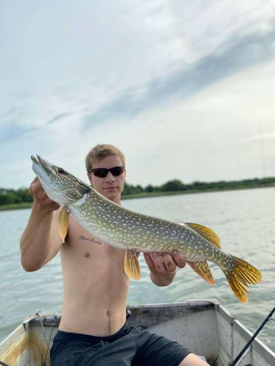 1DE79EF9-3E28-4BF2-B7D0-1B9E0E173F7A.jpeg