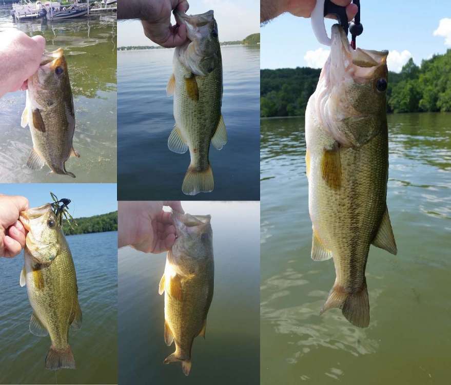 200704_Wisconsin.thumb.jpg.0aeafeb2a4d7db18e9f33589b1e61e48.jpg