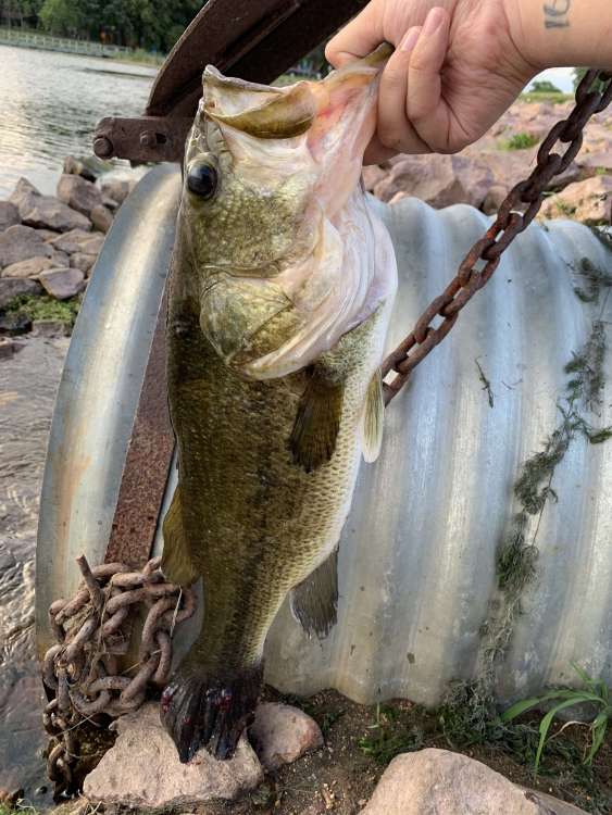 4FB35022-6E5A-4EEF-ADCB-86DB9CDEC6AF.jpeg