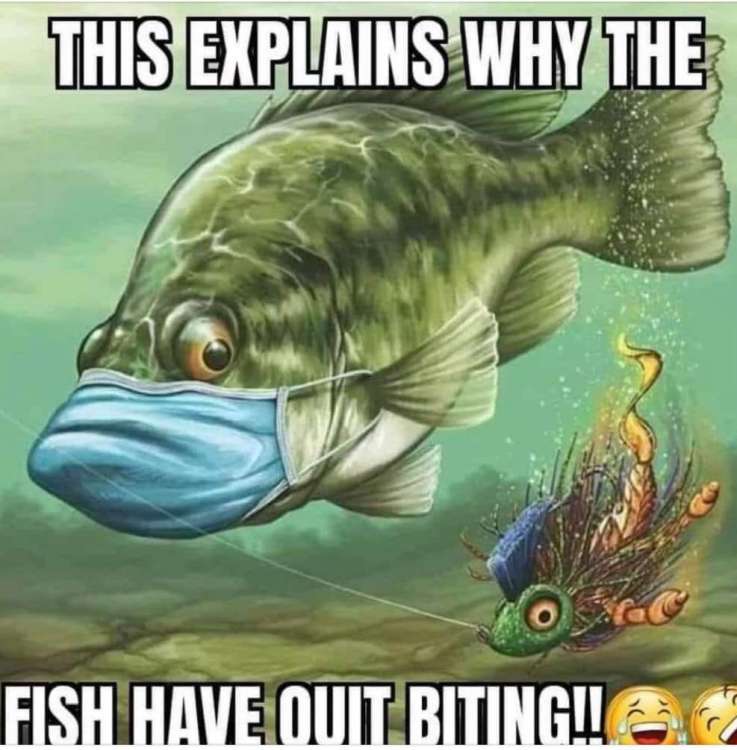 8BC09C6A-044D-47B6-9FFF-581DD29261E7.jpeg