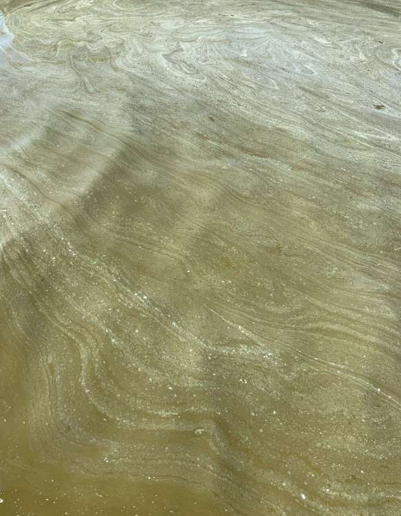 AA0A7BF9-8E5B-44AC-8900-67EA0C7A8DE1.jpeg