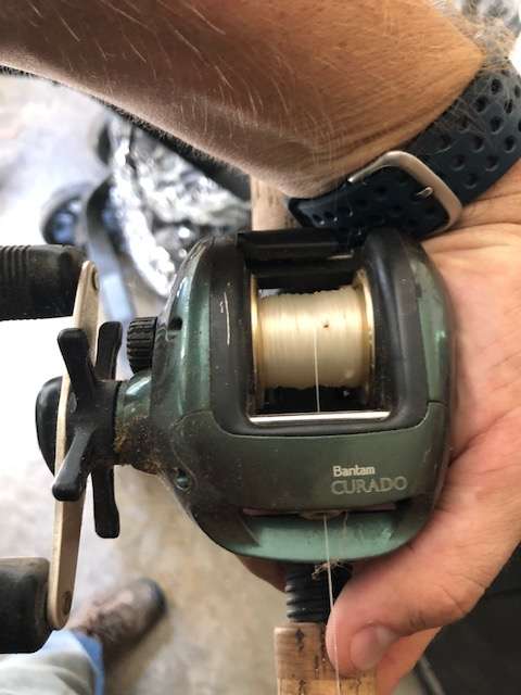 What are my old reels/rods worth?? - Fishing Rods, Reels, Line