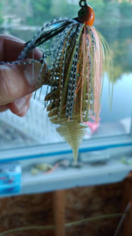 IMG-20200724-WA0000_compress65.jpg