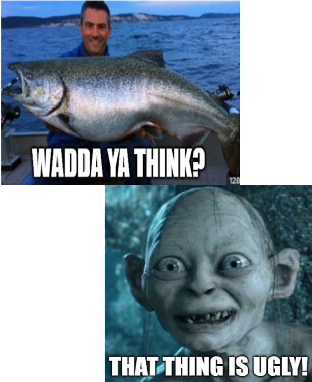 image.thumb.png.4d77f8e4c0139299884545a0264a7dc4.png