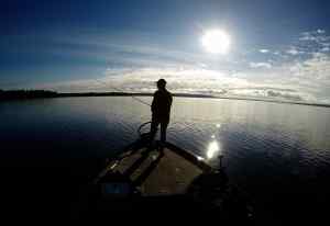Sunny_morning_on_the_Pro-V_Bass.jpg