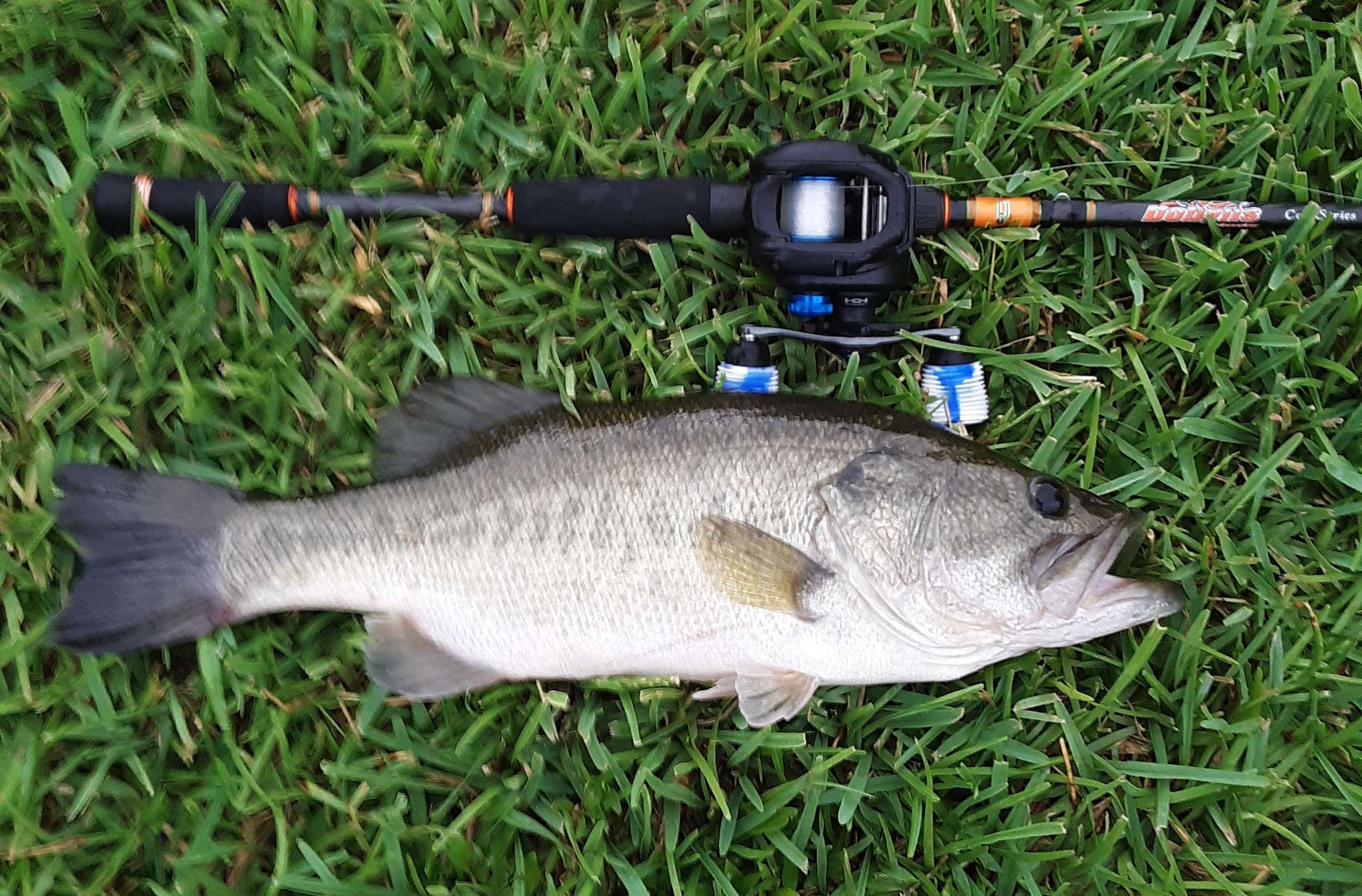 St Croix Bass X Rod - Fishing Rods, Reels, Line, and Knots - Bass Fishing  Forums