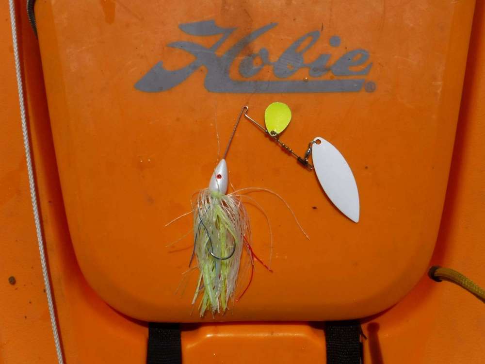 spinner bait Aug 1  pound bass.JPG
