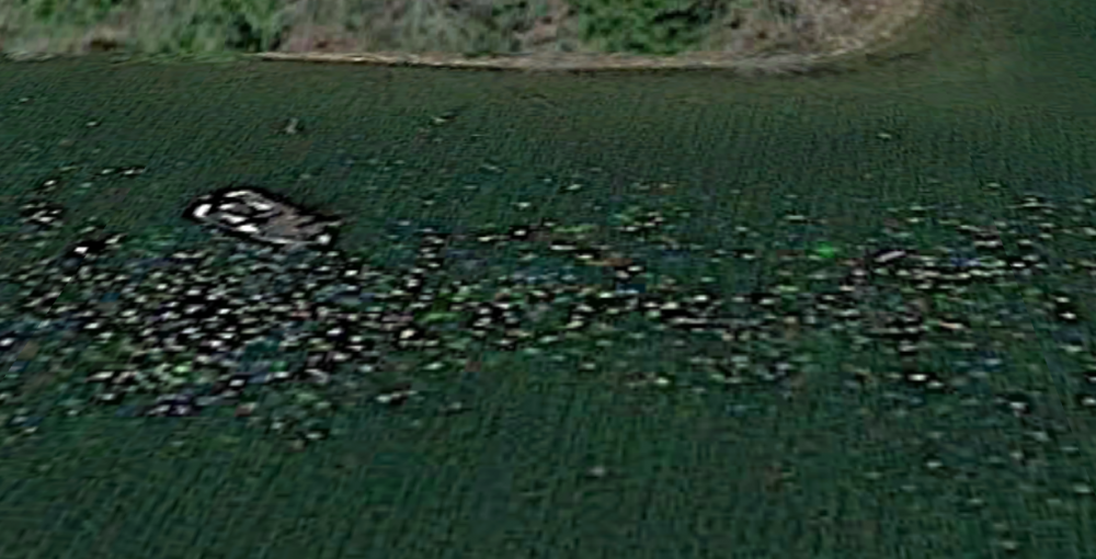 laurel lake03.png
