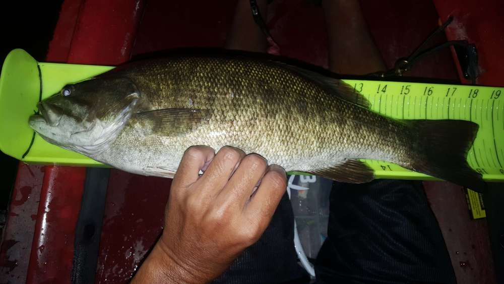 479628741_8-21-20-PBSmallmouth-Williams218.25inches.thumb.jpg.d08f2ad800838cf99950711c249fcb2f.jpg