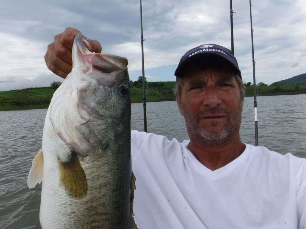 7.9 pound bass Tepic lake August 1 2020.JPG