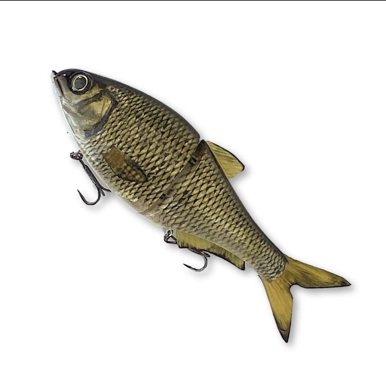 Golden Shiner patterns? - Fishing Tackle - Bass Fishing Forums