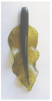 image.png.54997220eddc39cd67ac075920f60992.png