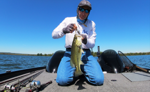 25 Aug 2020 ~ Green Bass
