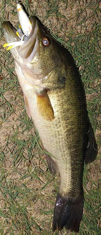 20200830_205333~2.jpg