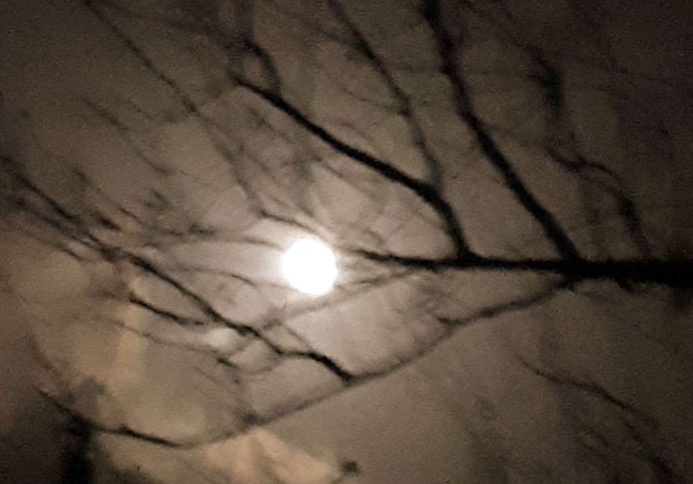 20200901_223306.jpg
