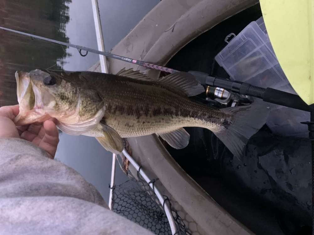 2F62B0EC-A2F7-4BA5-AB0F-D8EE53BCA21E.jpeg
