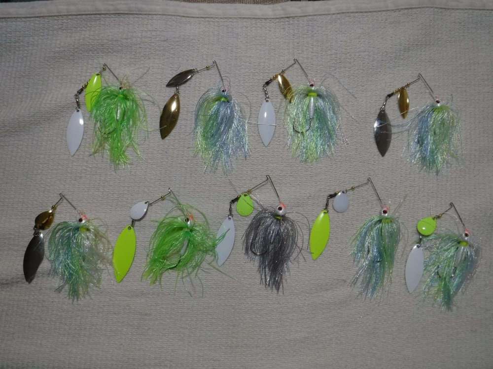 spinner bait Sept. 1 2020.JPG