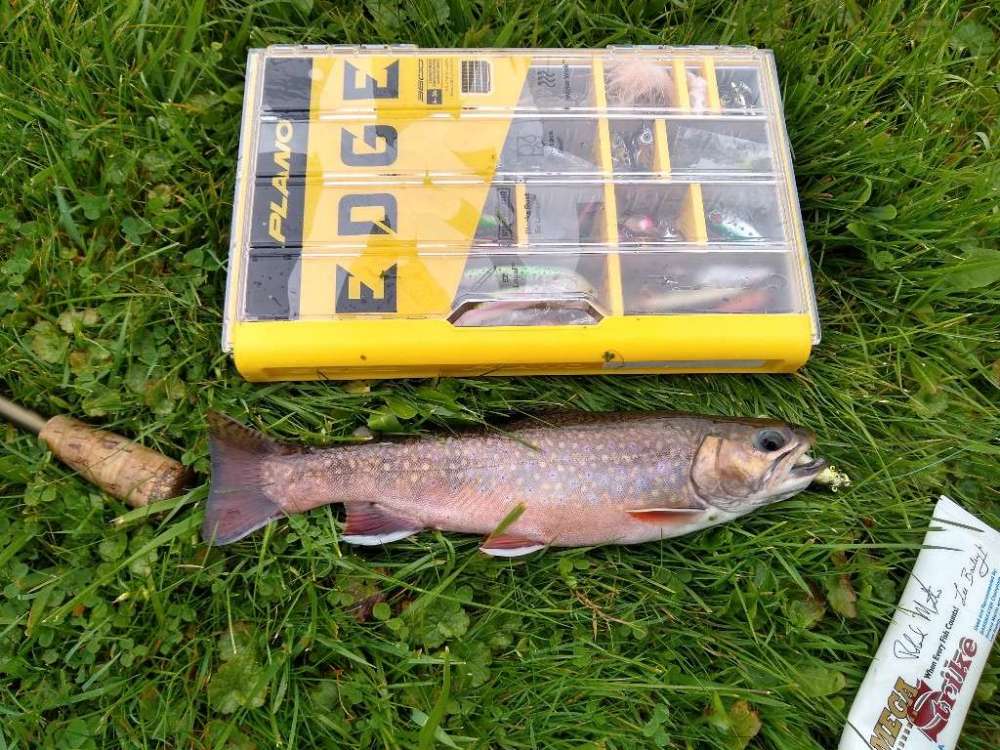 IMG_20200927_110059613_HDR-1024x768.jpg