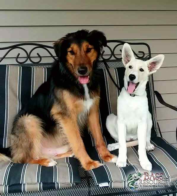 Teddy and Kya.jpg