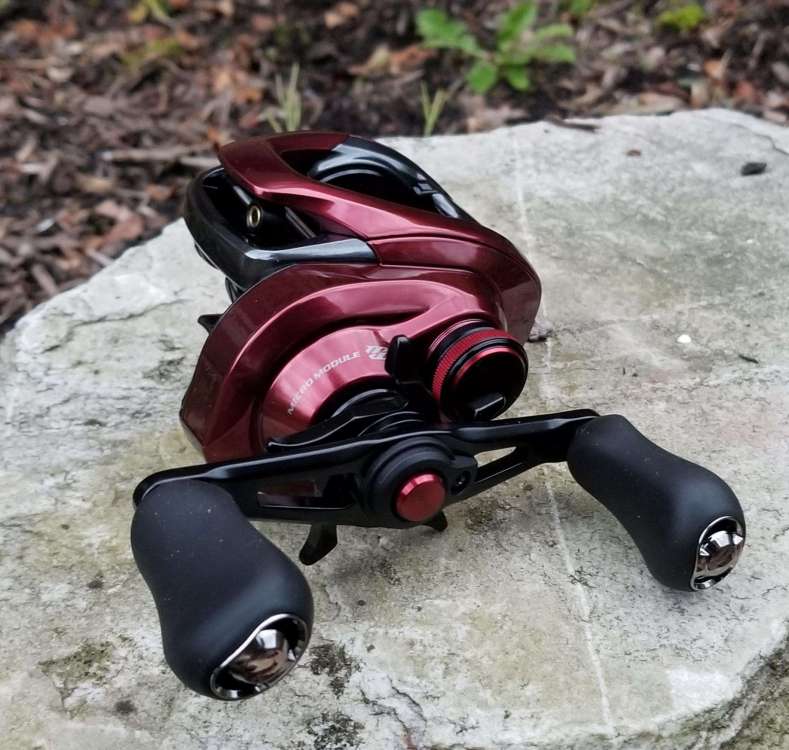 ztirz6fla0w21.jpg
