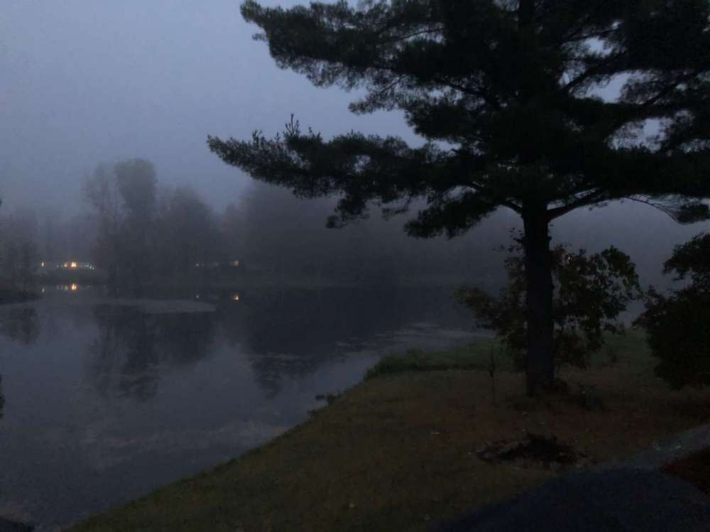 0A7A0037-EE82-4EC0-877E-1F5EF3C481AB.jpeg