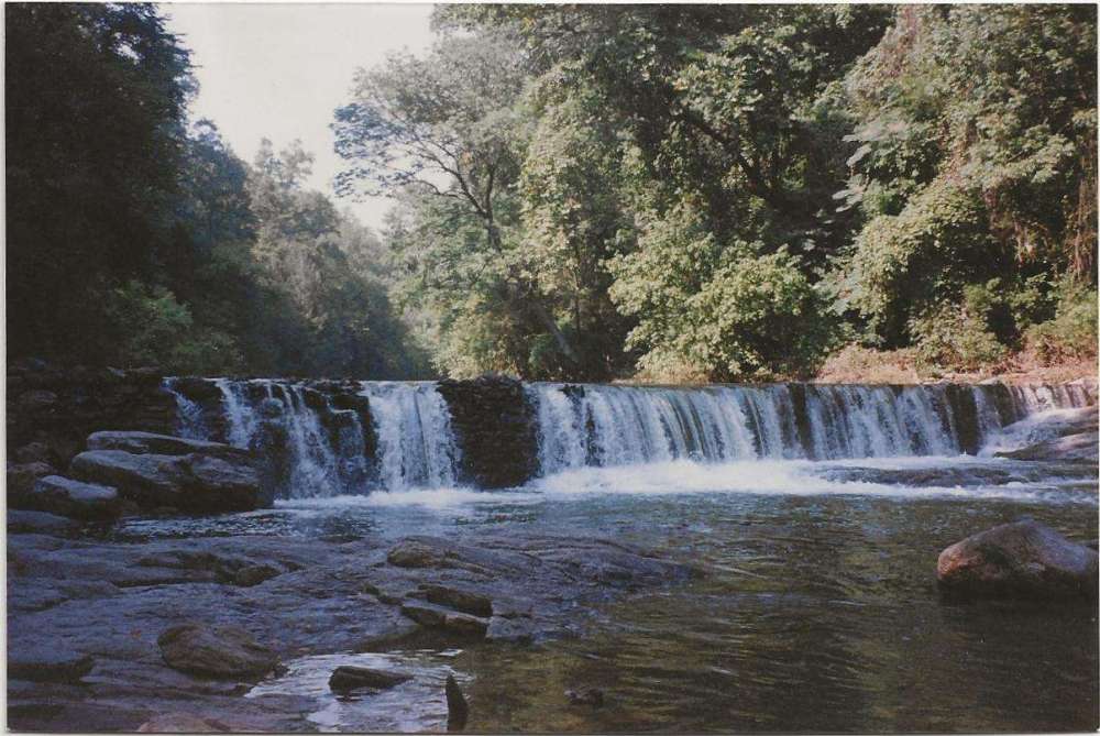 Wissahickon Magree Dam (1).jpg