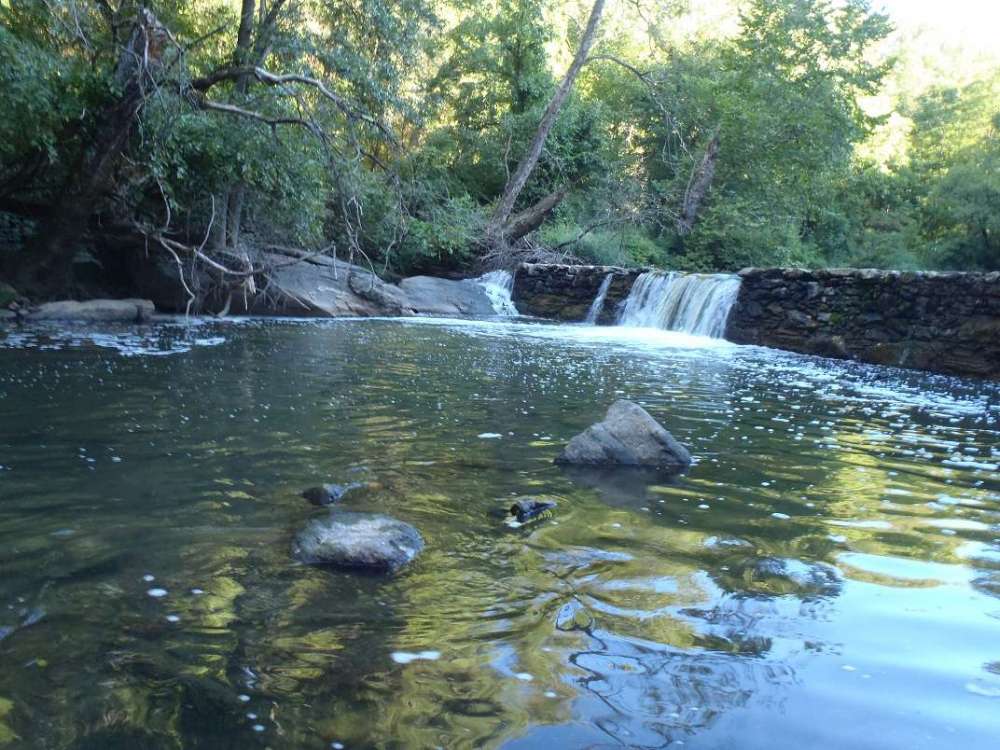 20101011_2.JPG