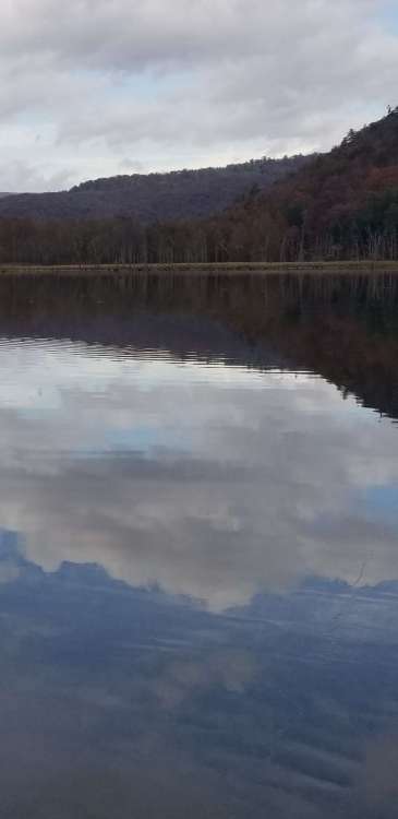 20201028_145452.jpg