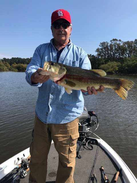 831940306_ToledoBend10.5_20.jpeg.0e0e9bfdcee2dfa27541b753a6232bba.jpeg