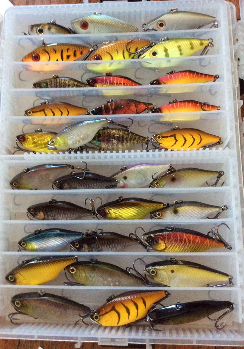 Non typical Red Eye shad colors - Fishing Tackle - Bass Fishing