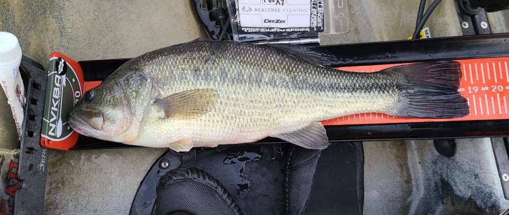 20201121_065709_copy_1863x788.jpg