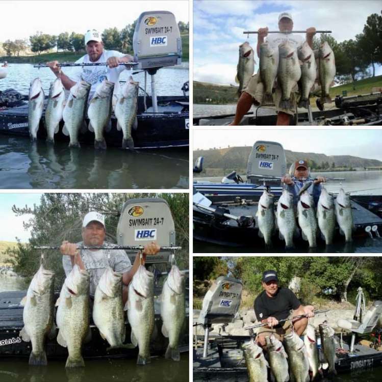Here-Fishy-Fishy_01.jpg