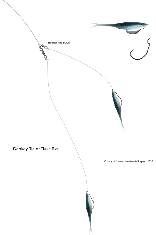 donkey-rig.png