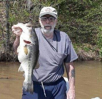 1526321920_fish2.jpg.5c563c385e8f5b754c2caeba95bcbda5.jpg