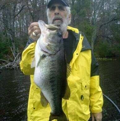 1925520935_fish1.jpg.2bbe6432365f7615cea17d63651489db.jpg