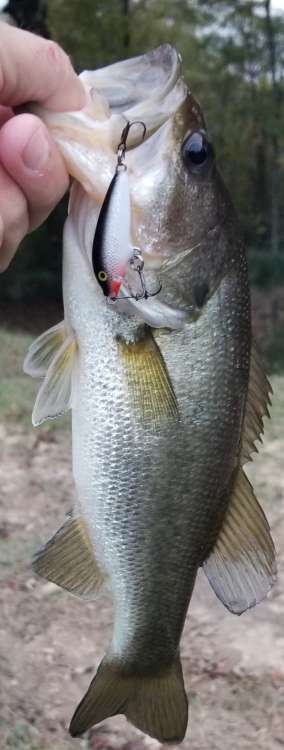 20201227_194445.jpg