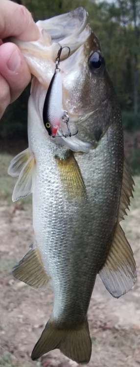 20201227_194756.jpg