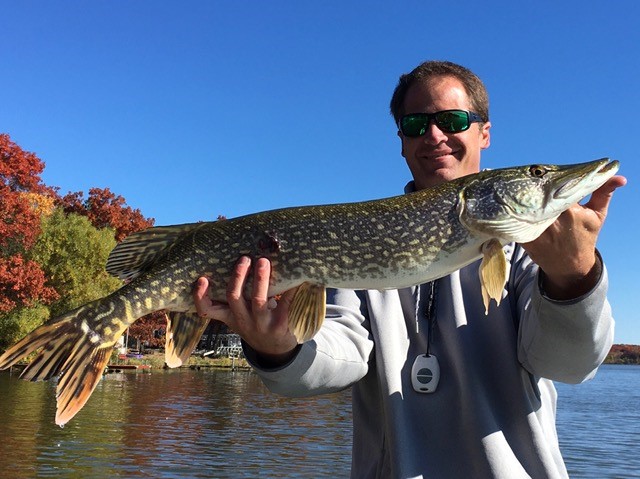 best leaders for pike fishing - Other Fish Species - Bass Fishing Forums