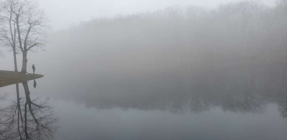 Screenshot_20201213-105903_Gallery.jpg