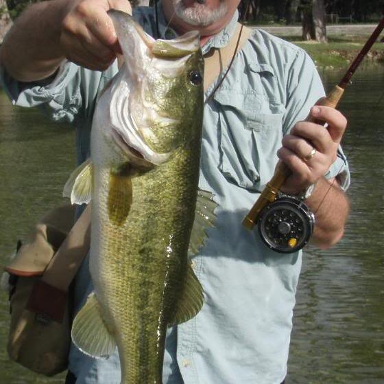 If You Could Have Only 1 Rod And Reel - Fishing Rods, Reels, Line, and  Knots - Bass Fishing Forums