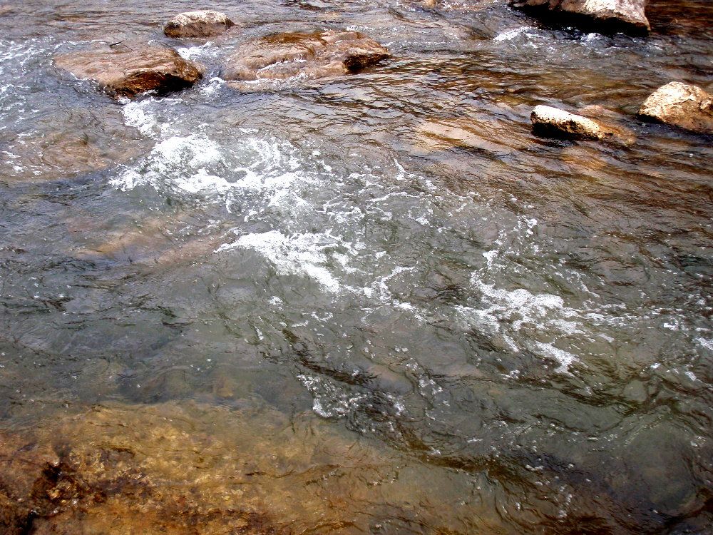 aP1010011_zpsfee7373b.jpg.3a9aa699a18b7c4271faf39021794b3e.jpg