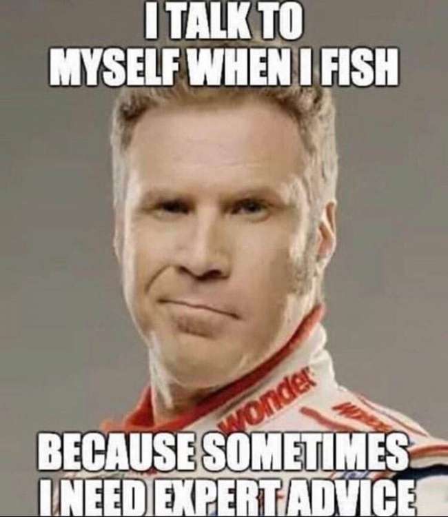 gcMf4Qz.jpg