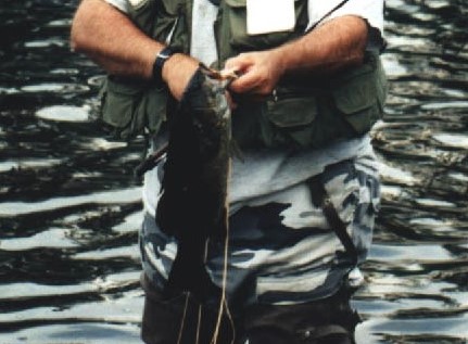 198848818_Jerrysfish21(3).jpg.22f6f6c8ac8f9fa659f409a75bedec4c.jpg