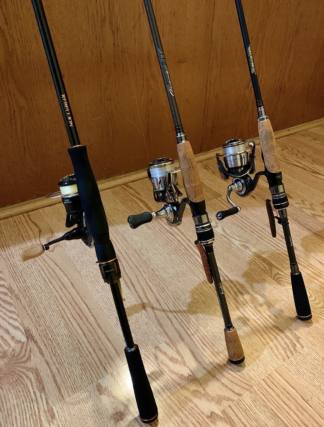 What's your favorite finesse rod and reel? - Page 3 - Fishing Rods