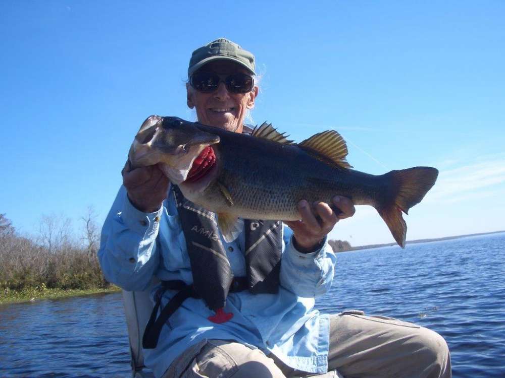 Bass.jpg