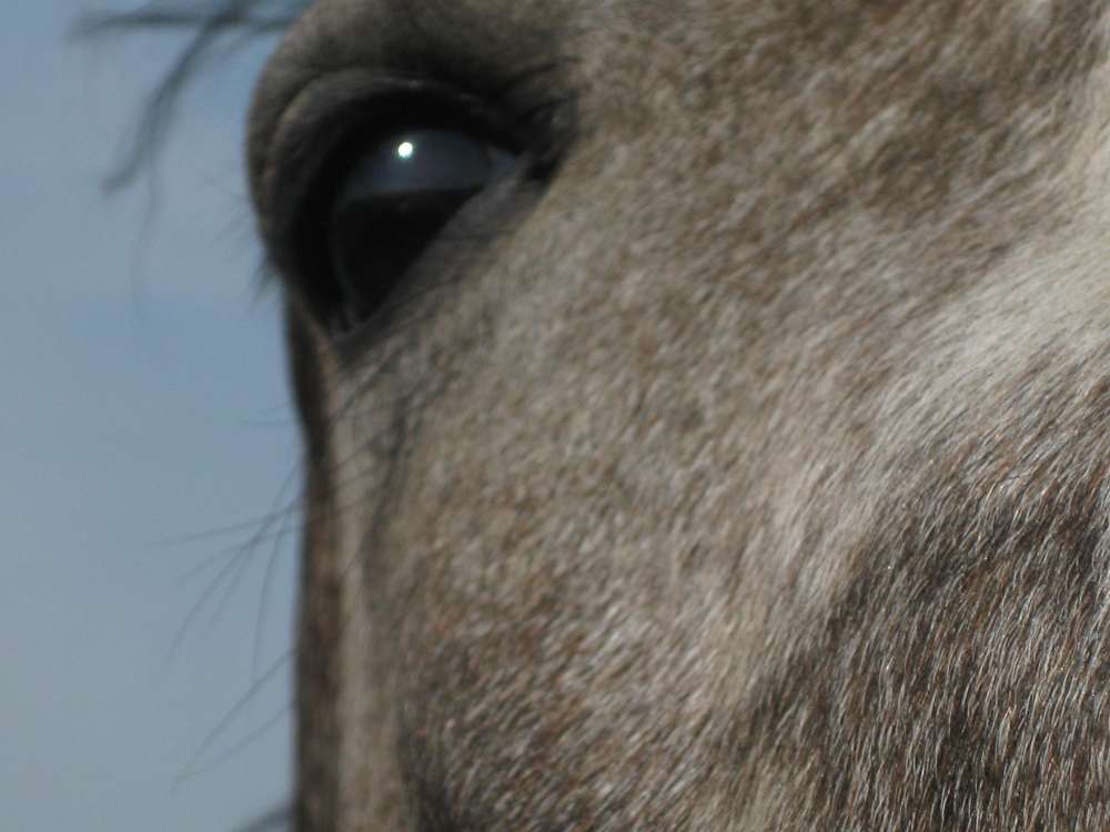 IMG_0044.thumb.JPG.a9590a281068187758cb0136823c88fd.JPG